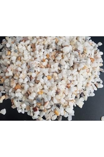 Dolomit Taş 2 Kg, 0,5-1 Cm, Karışık Renk, Dere Taşı, Çakıl Taşı, Bahçe Süs Taşı, Akvaryum ve Teraryum Taşı, No.1m