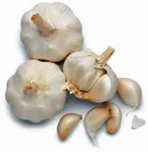 Miniatura 2 de Bombilla de ajo (6 onzas), bombilla de ajo de cuello suave de California fresca para plantar, comer y cultivar tu propia marca de ajo, Country Creek