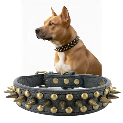 Spiked Studded Dog Collar,Protect The Dog’s Neck from Bites. - Fit SmallMedium & Large Dogs (Sharp Black,XS)