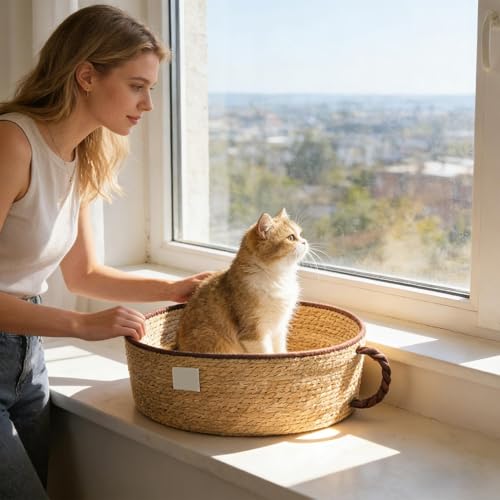 Adorable maison respirante pour chatons afin de calmer leur anxiété
