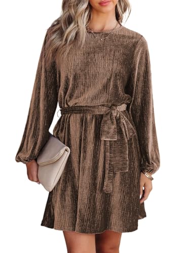 Happy Sailed Fashion Velvet Dress for Women 2025 Fall Long