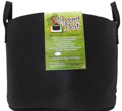 Smart Pots RC20H 14020 Fabric Pot, 20-Gal, Black