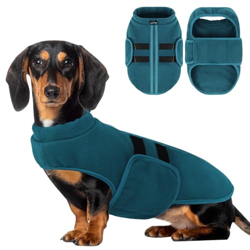 PUZAUKAL Suéter para Perro Pequeño Jersey Perro Suaves de Vellón Chaqueta de Chaleco para Perros con Arnés Suéter Cálido para Perro Mediano Grande Azul Pavo Real(XS)