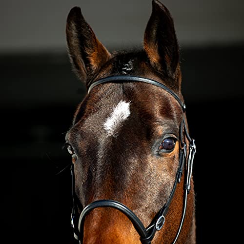 Horze Genuine Leather Cross-Under Bitless Bridle | Web Reins Included - Black - Horse #TOP6