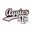 Texas A&M Aggies Distressed