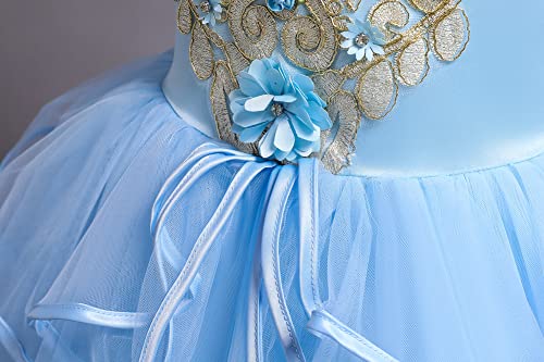 Disfraz largo de princesa retro con apliques de gala infantiles 6