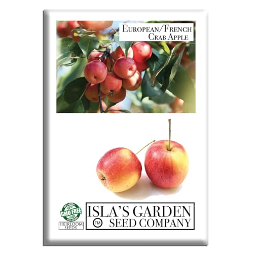 European French Crabapple Tree Seeds (Malus sylvestris) &ndash; 20 Non GMO Seeds, by Isla&rsquo;s Garden...