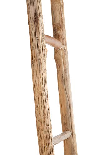 Creative Co-op Dipped Decorative Wood Ladder, White