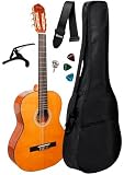 Violão Acústico Giannini N-17 + Capa, Ny01 E Acessórios (N)