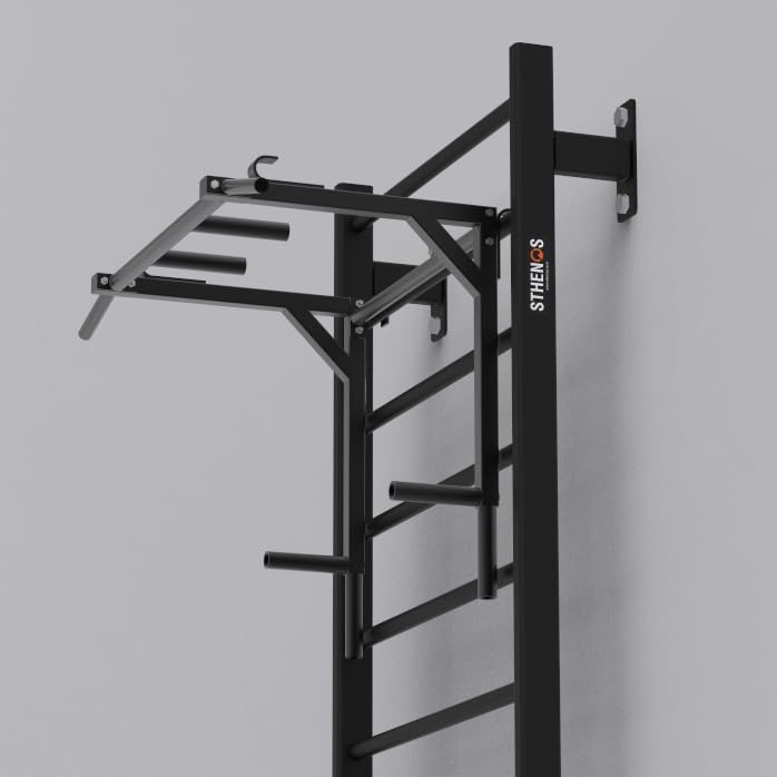 Image of Flat Swedish Ladder with Multi Purpose Bar Heavy Duty Powder Coated Metal Wall Mounted Ladder & Bar for Yoga Physiotherapists Calisthenics & Gymnastics (BLACK, 37KG)