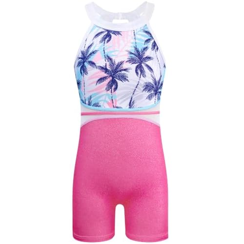 HOZIY Leotards for Girls Gymnastics Kids Children Biketard Snowflake Ribbon Blue Purple Hot Pink Sparkle