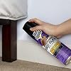 Hot Shot Bed Bug Killer Aerosol, Bed Bug Treatment, 17.5 oz