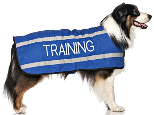 TRAINING (hond in training/niet storen) blauwe kleur gecodeerd S M L reflecterende waterdichte fleece gevoerde warme hond jassen voorkomt ongevallen door waarschuwing anderen van uw hond op voorhand, Medium Coat, Blauw