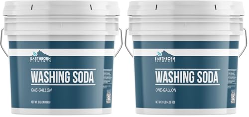 Earthborn Elements Washing Soda (1 Gallon), Soda Ash, Sodium Carbonate, Non-Toxic Laundry Booster (Pack of 2)
