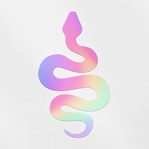 Decal Stickers of Snake Silhouette (Hologram) (Set of 2) Premium Waterproof Vinyl Decal Stickers for Laptop Smartphone Car Dirt Bike Wall Room Mason Jar Bathtub Door - BICVER1012212HOW19Y24