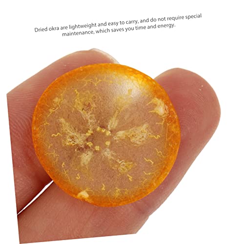 12 piezas frutas secas naturales para manualidades miniatura 3