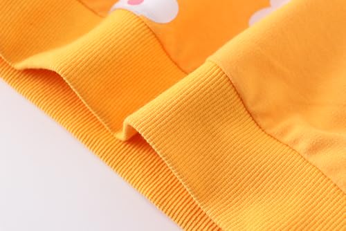 Image of AIWUHE Toddler Cotton Sweatshirt Boys Girls Pullover Long Sleeve Tops 2-6Y