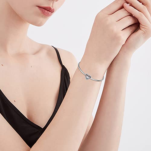 LONAGO Personalized Photo Charm 925 Sterling Silver Butterfly Peacock Inspirational Bead Charm for Women3