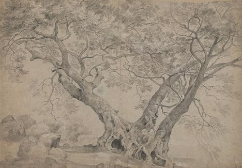 Tableau Art Mural l'Arbre Sacré du Lac de Nemi Peinture Abstraite Salon 60x90cm