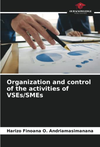 Organization and control of the activities of VSEs/SMEs
