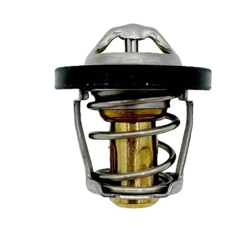 Termostato de motor 191R 2V91W pieza de refrigeración para SSV y quad