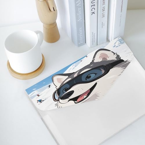 Trieur A4 portable Husky pour ne plus perdre vos documents importants