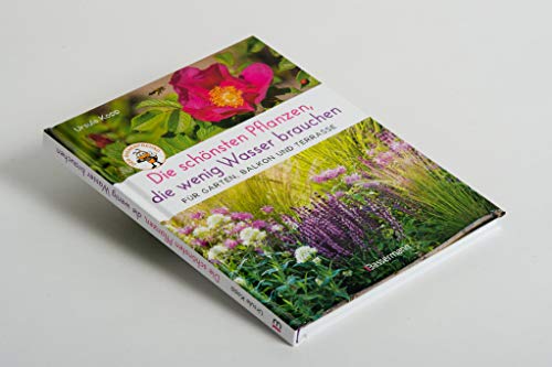 Die schönsten Pflanzen, die wenig Wasser brauchen für Garten, Balkon und Terrasse - 66 trockenheitsverträgliche Stauden, Sträucher, Gräser und Blumen, die heiße Sommer garantiert überleben - 5