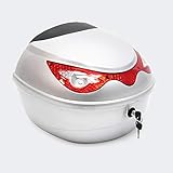 Top Case 22L silberfarbener Koffer für Roller, Motorrad oder Quad, 22 L Helmkoffer Motorradkoffer