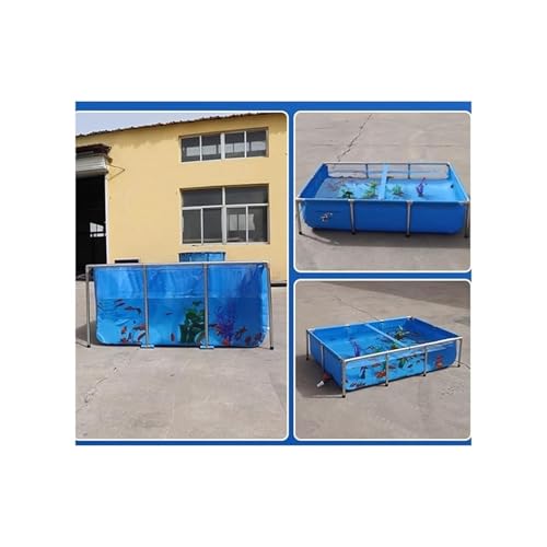 Piscina Acima Do Solo, Lagoa De Piscina De Aquário Transparente Com Válvula De Drenagem, Estrutura D
