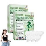 KEPYATI 14Pcs Moringa Cerotti Dimagranti 10 In 1, Berberina Cerotti Dimagranti Con Microaghi, Ingredienti Naturali, Bruciano Rapidamente I Grassi, Stimolano Il Metabolismo (2 Scatole)