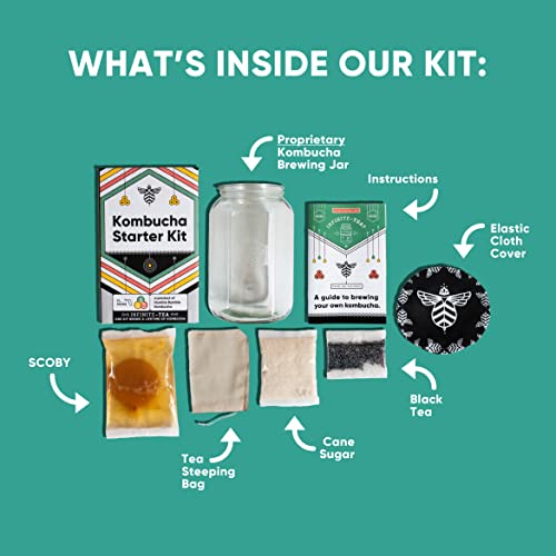 Craft A Brew Home Brewing Starter Kit Kombucha Tea Kit – Home Kombucha Kit – Fermentation Starter with Kombucha SCOBY – 1 Gallon - Thumbnail 3