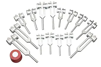 Radical Weighted Human Organ 15 Tuning Forks with Activator and Pouch