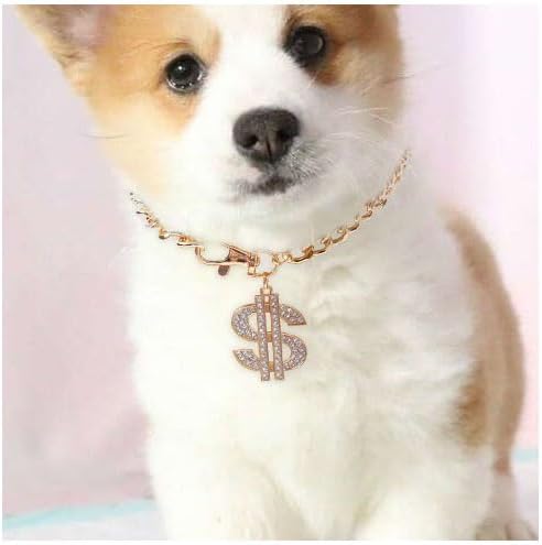 Collar para perros pequeños o cachorros, se adapta a razas Chihuahua, Yorkie, Mini - Lindas joyas y accesorios para mascotas (22590-oro)