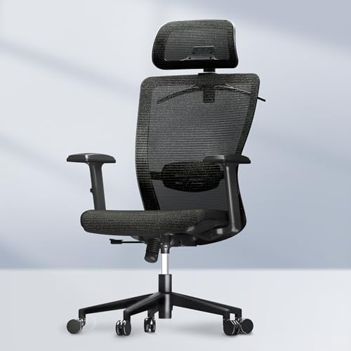 FLEXISPOT OC3 Cloud Ergonomic Office Chair High Back Mesh Swivel ...