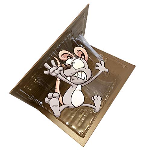 Piège Souris Vendu par 2 Piège Rat Plaque Collante Attrape souris Piège à Glue Colle Puissante et Efficace - Produit Anti Rongeur Efficace Sans Risque Produit Professionnel Anti Souris Anti Rat