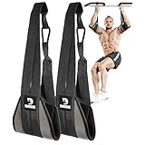 DMoose Fitness ぶら下がり式アブストラップ 懸垂バー＆体幹トレーニング用 - 厚手のパッド入りアブスイング用アームストラップ、錆びにくいカラビナ2個付き - 自宅やジムでのアブトレーニング用懸垂ストラップ (Grey)
