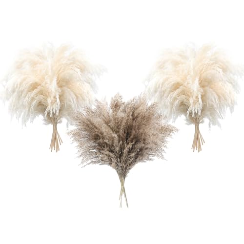 36 PCS Pampas Grass Boho Decor Fluffy Pompas Grass Natural Dried Pampas Grass Small Short Pampass Bulk for Boho Home Decor Wedding Decor Table Decor （24pcsWhite+12pcs Natural）