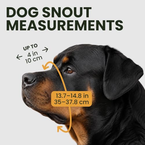 BRONZEDOG Hundemaulkorb Verstellbar Robustes PVC/Metalldrahtkorb für Große und Sehr Große Hunde mit Lederbändern Atmungsaktiv, Trinkfähig, Training, Verhindert Beißen (Rottweiler, Edelstahl)