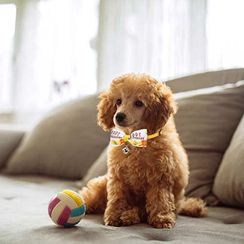 Animal de estimação Dia de Ação de Graças fita colorida Bell Bowknot Collar Gravata (Bowknot Univers