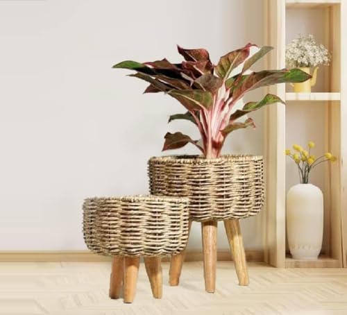 Image of Jute Handmade Twisted Natural Rope Planters for Indoor Plants | Jute Baskets | Plant Container | Gamla for Indoor Home & Decor Balcony | Garden - Natural Brown (Medium & Small)