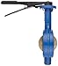 Dixon BBFVW400 Ductile Iron Wafer Style Butterfly Valve with Aluminum Bronze Disc and Buna-N liner, 4