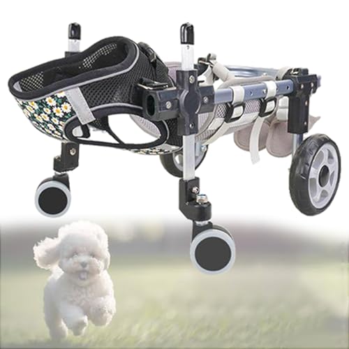 Silla de ruedas para perros y carritos de mascotas para paseos diarios en parques y hogar