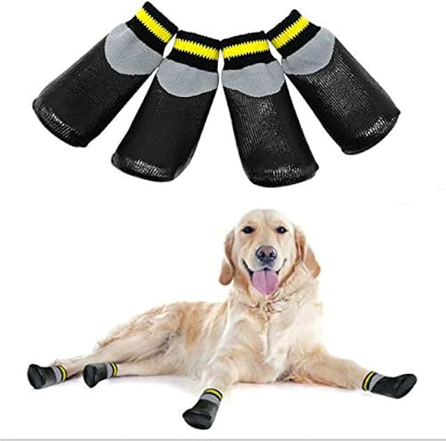 Amazon.ca balloon dog boots