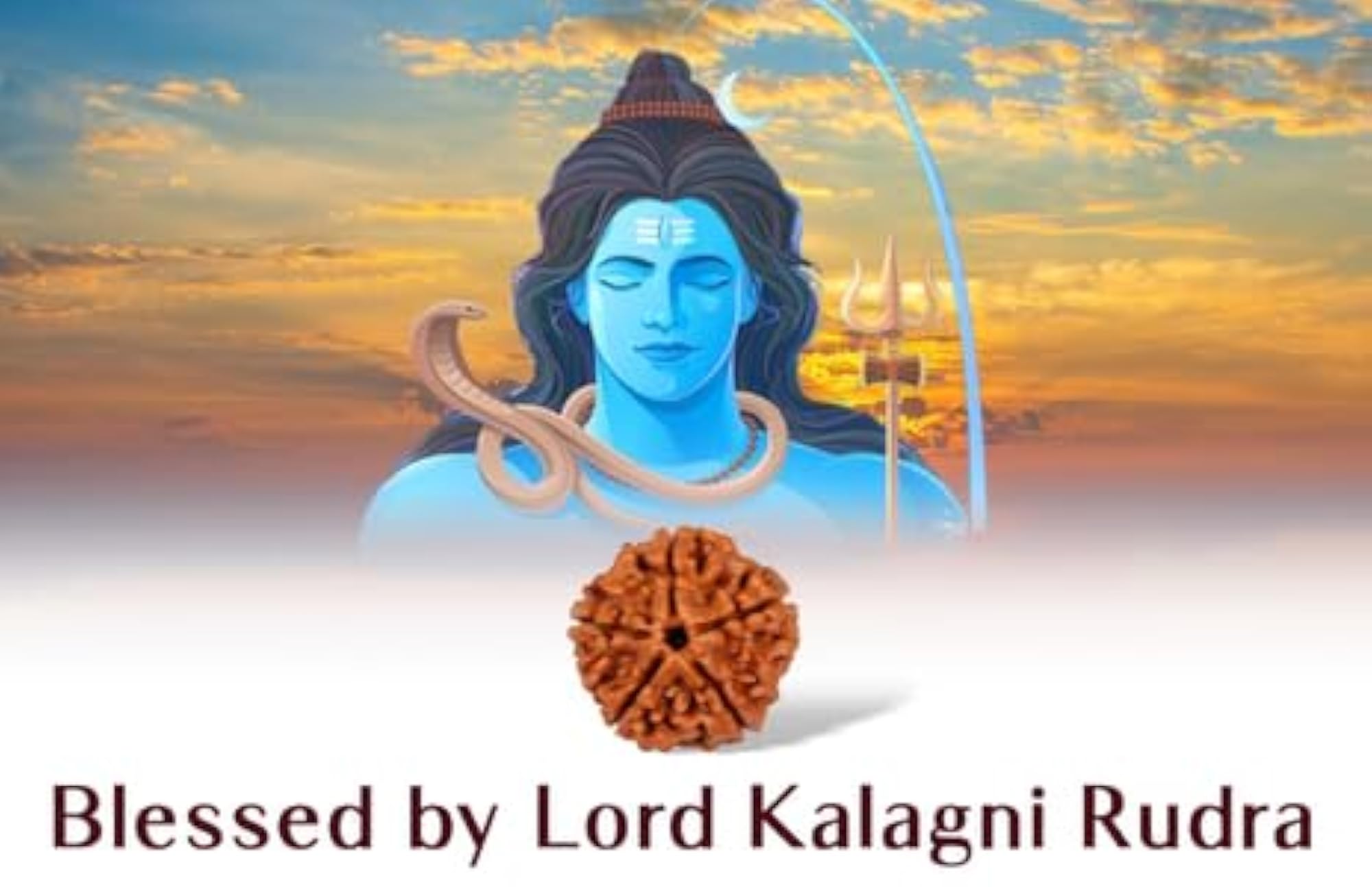 5 Mukhi Rudraksha Pendant with Silver Capping, Blessed by Bhagwan Shiv
