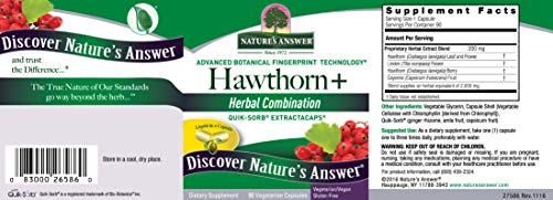 Nature's Answer Hawthorn Berry 90-Capsules | Supports Heart And Circulatory System Function | Gluten-Free, Non-Gmo, Vegan, No Artificial Flavors Or Preservatives | Single Count #TOP1