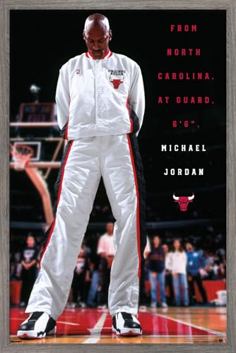 Michael Jordan - Chicago Bulls Introduction Wall Poster, 22.4L" x 14.7W", Barnwood Framed Version