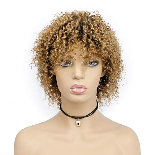 Goldfinch Blonde Ombre Short Kinky Curly Wig Human Hair Afro Curly Wig Black to Blonde Short Curly Human Hair Wig for Black Women Remy Virgin Hair Wig 5 inches