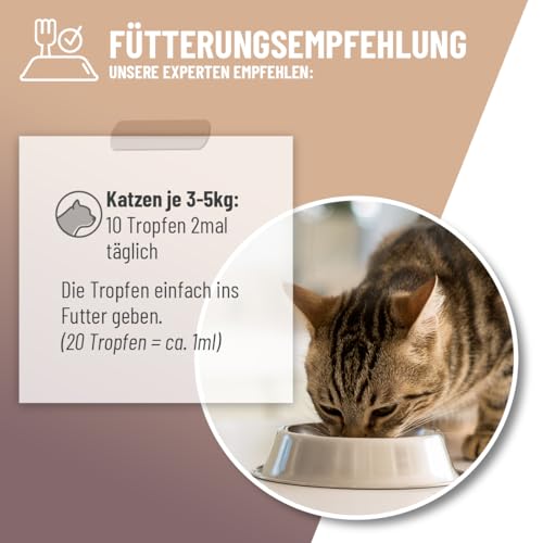 ReaVET Magen & Darm Tropfen Liquid für Katzen 50ml - sekundierend bei Durchfall oder Blähungen, natürliche Darmregulierung, Darmsanierung Katze, unterstützt die Darmflora