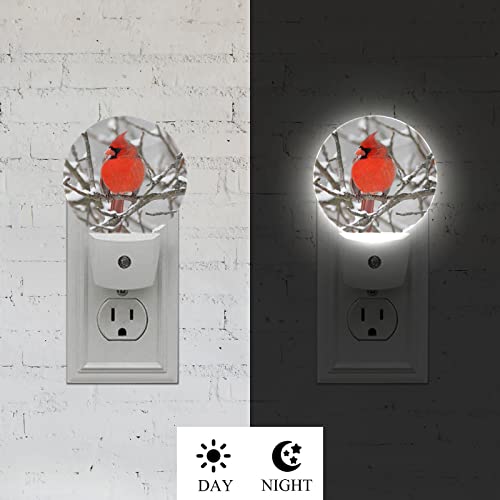Axayaz Red Cardinal Night Light Winter Snow Bird On Tree Branch Plug In Night Lamp Auto Sensor Energy Efficient Dusk To Dawn Led Home Decor #TOP2