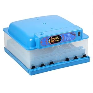 Tarshyry Automatischer Inkubator für 48 Eier